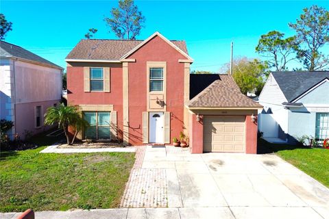 Photo of 10908 Brightside Drive, Tampa, FL 33624 (MLS # TB8463676)