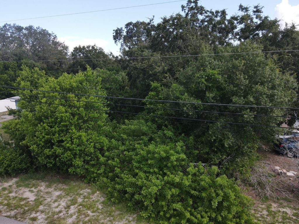 Photo of Berkley Avenue, Tarpon Springs, FL 34689 (MLS # W7878197)