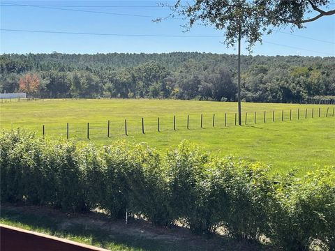 Tiny photo for 14430 SE Highway 42, Weirsdale, FL 32195 (MLS # OM711247)