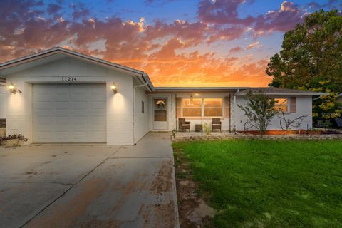 Photo of 11214 Rhonda Avenue, Port Richey, FL 34668 (MLS # TB8435188)