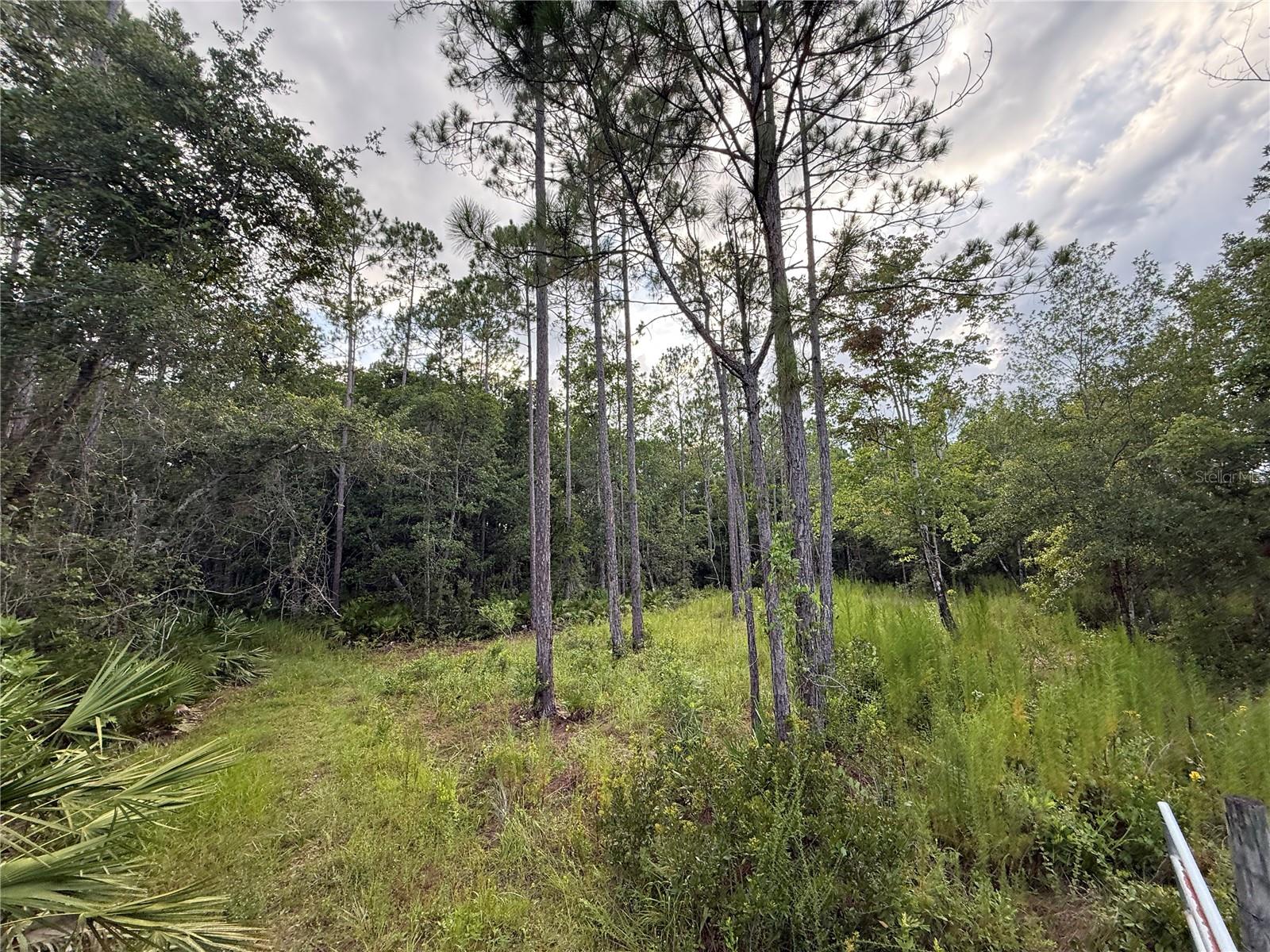 1505 COUNTY ROAD 13