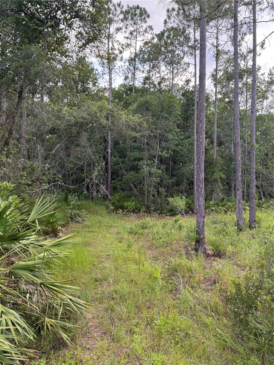 1505 COUNTY ROAD 13