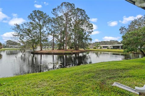 A home in TAVARES