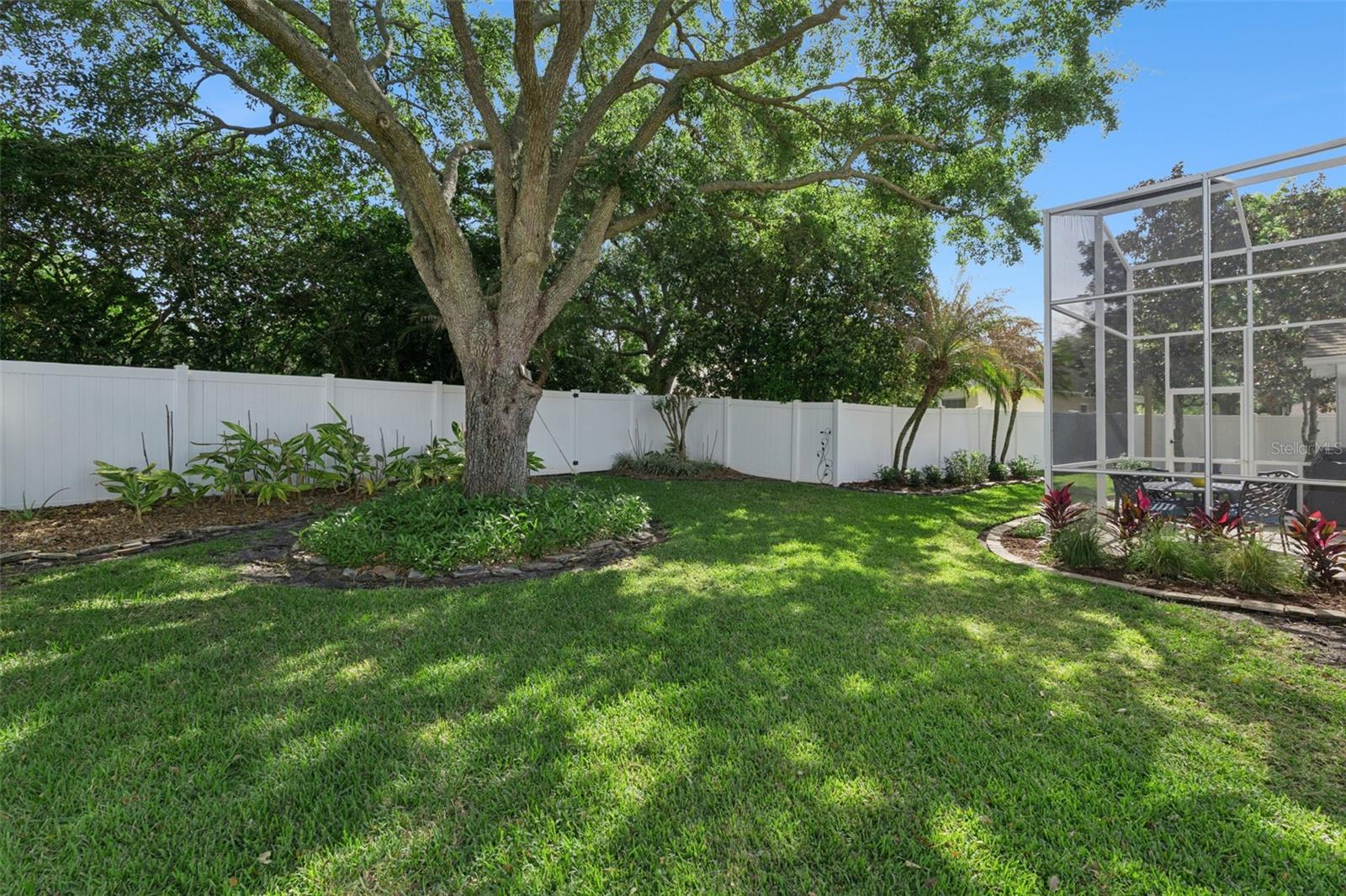 FAIRFAX VILLAGE - Residential