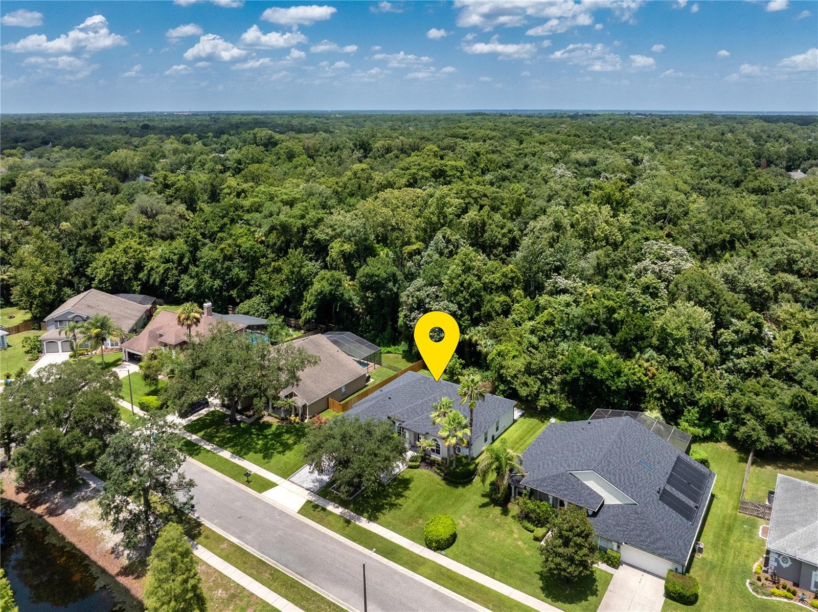 223 BLUE CREEK DRIVE