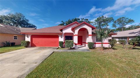 A home in PALM COAST