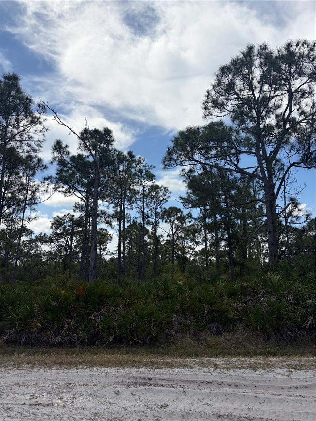 Photo of 28072 Ramiro Drive, Punta Gorda, FL 33955 (MLS # C7524876)