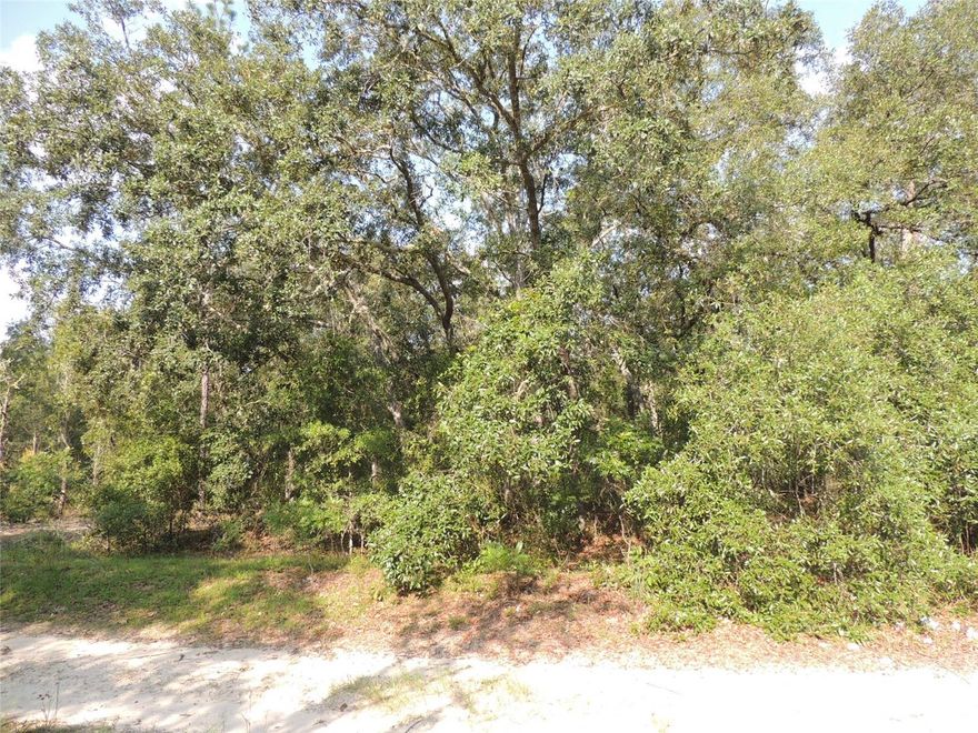 MOTIVATED SELLER - 1.25 ACRES in UNIVERSITY ESTATES. Located just outside the town of Bronson, this would be an ideal site for your new home. Zoned for either site-built homes or Manufactured homes. Parcel Measures about 165' x 304'. High & dry with no flood zones, no HOA and no time limits to build. This area has easy access into Gainesville on Archer Road (SR24) and still has lower Levy County taxes.