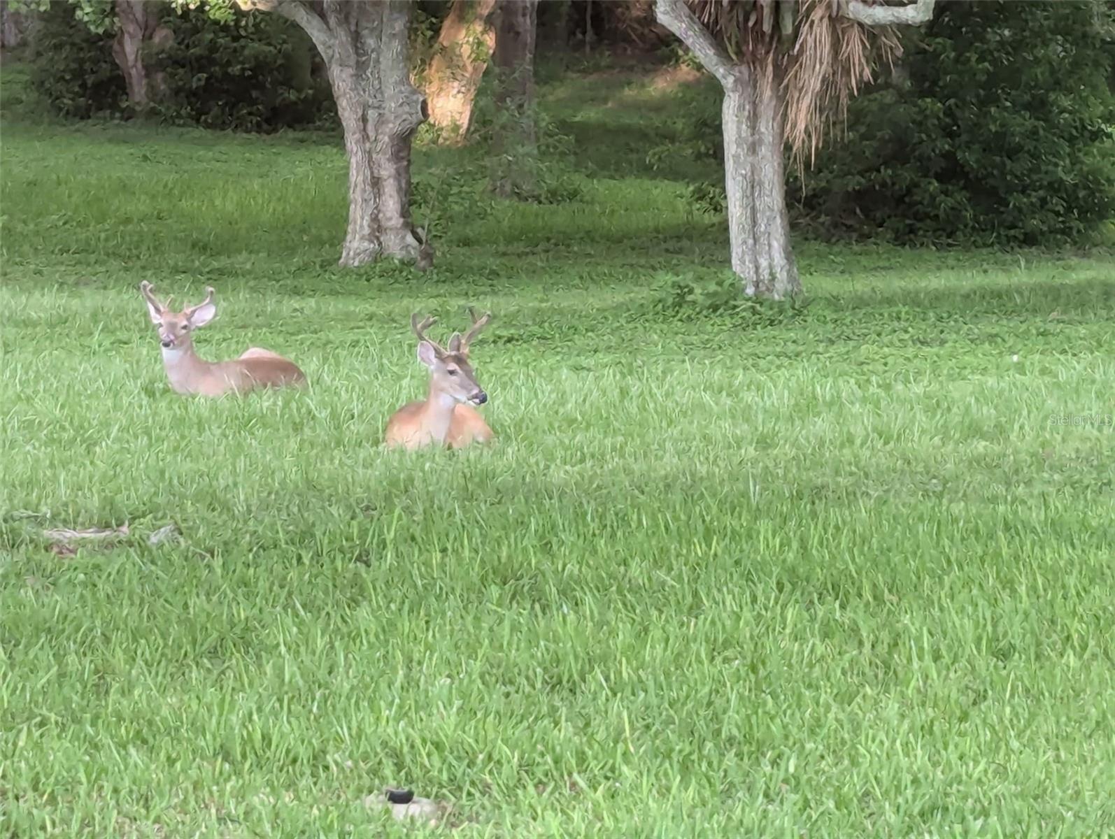HIGHLAND LAKES - Residential