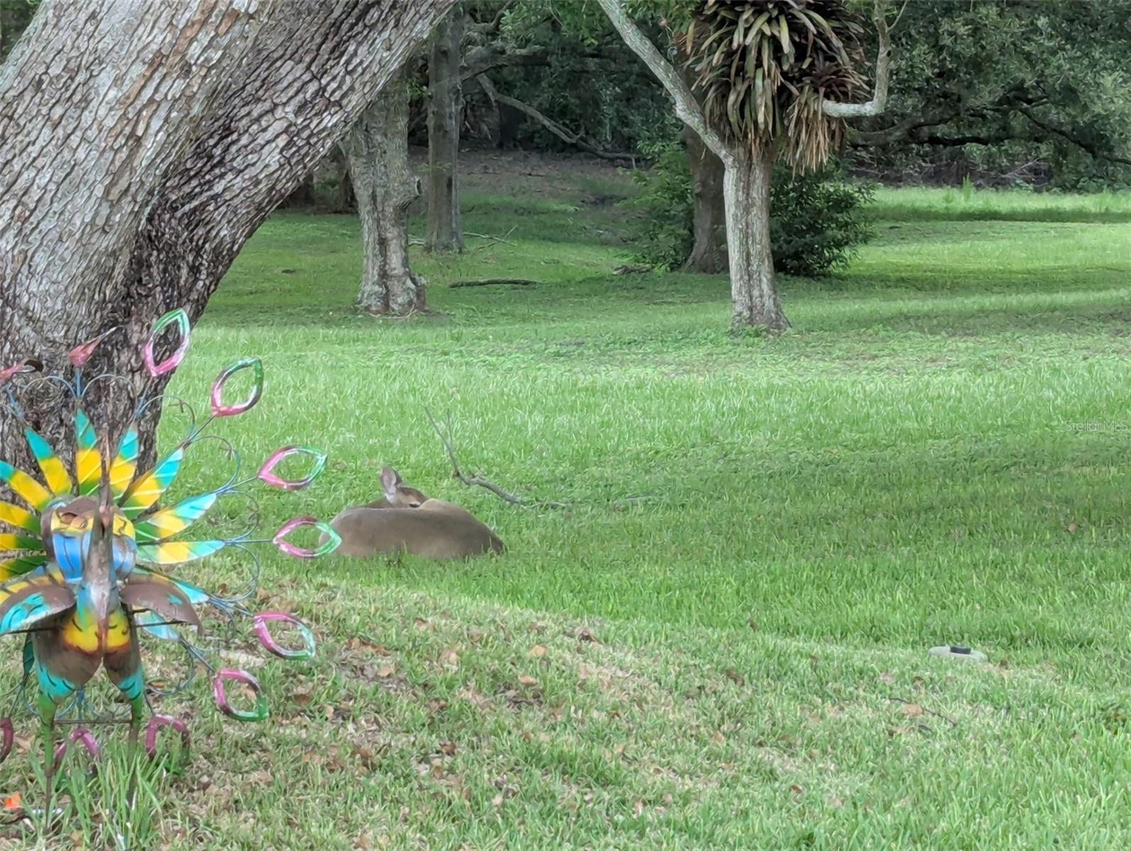 HIGHLAND LAKES - Residential