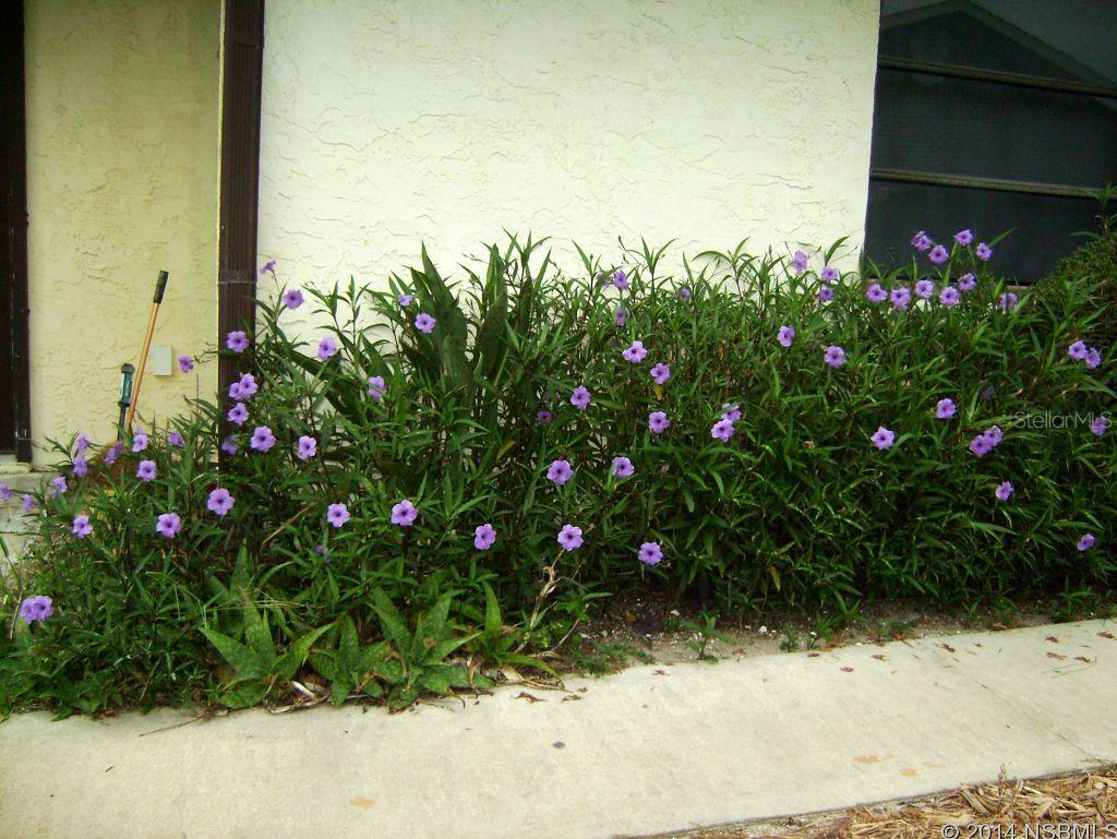 Fairgreen Un 02 - Residential