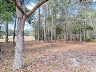 WOODLAND ACRES - Residential