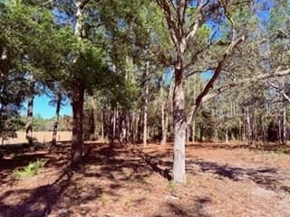 WOODLAND ACRES - Residential