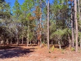 WOODLAND ACRES - Residential