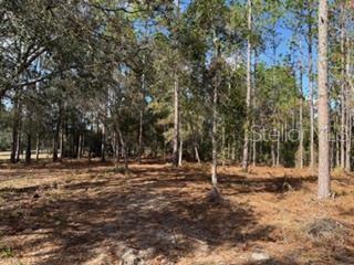 WOODLAND ACRES - Residential