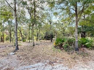 WOODLAND ACRES - Residential