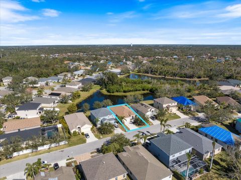 A home in ELLENTON