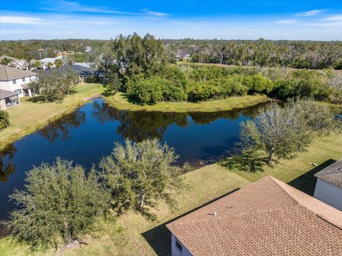 A home in ELLENTON