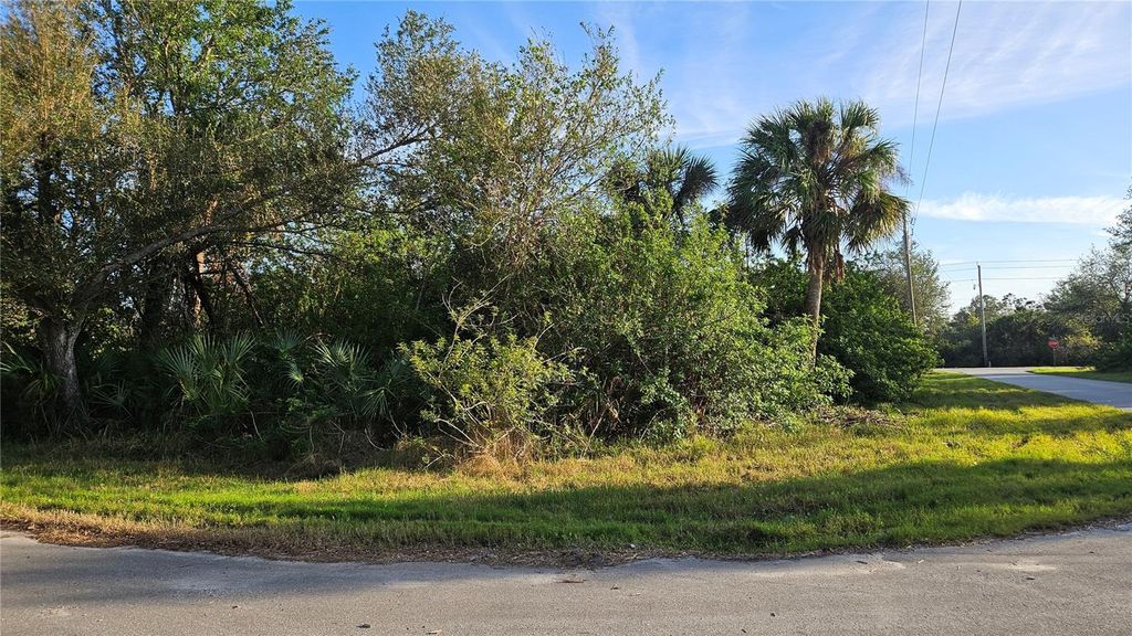 Photo of 14417 Rowan Avenue, Port Charlotte, FL 33953 (MLS # C7503246)