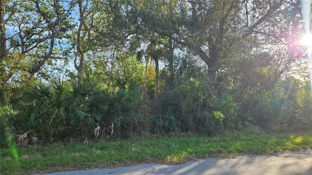 Photo of 14417 Rowan Avenue, Port Charlotte, FL 33953 (MLS # C7503246)