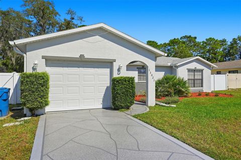 Photo of 13021 Drysdale Street, Spring Hill, FL 34609 (MLS # W7880207) Photo of 13021 Drysdale Street, Spring Hill, FL 34609 (MLS # W7880207)