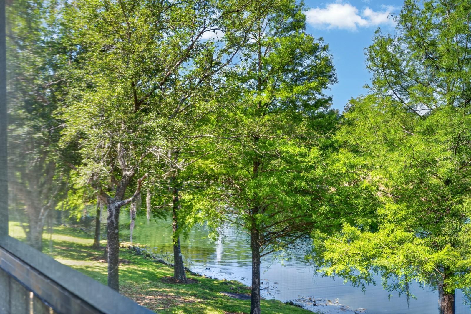 PLANTATION BAY PH 01A UNIT 01-6 - Residential