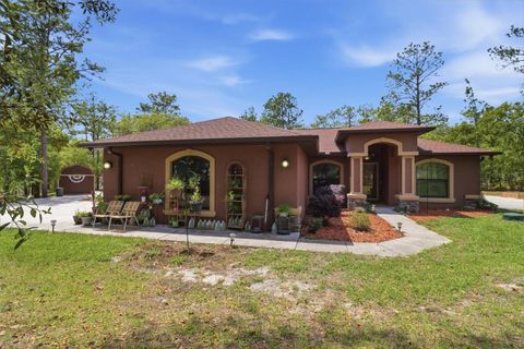 Photo of 16389 Margot Road, Weeki Wachee, FL 34614 (MLS # W7885078)