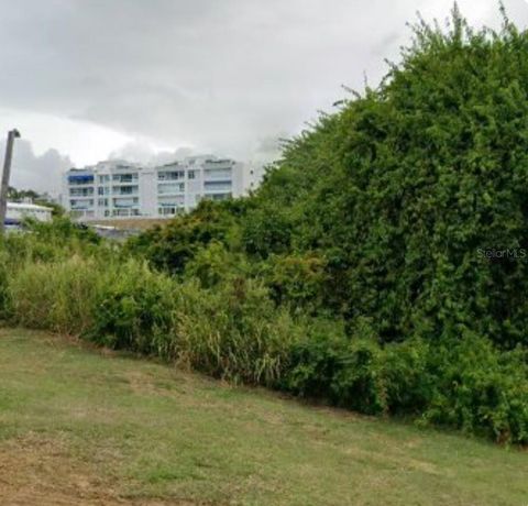 LOT 1 CALLE ROBLES FAJARDO  00738
