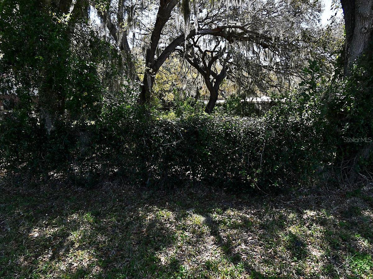 This is a fantastic opportunity to own a beautiful treed lot in the midst of an established neighborhood and close to all the amenities and convenience of the University and DeSoto Lakes areas of Sarasota. This non-HOA lot leaves all the possibility to your imagination! The chance to build a brand new home to your specifications, in one of the hottest areas in the county, without HOA restriction, and for a great price!! Wow! Don't miss this!