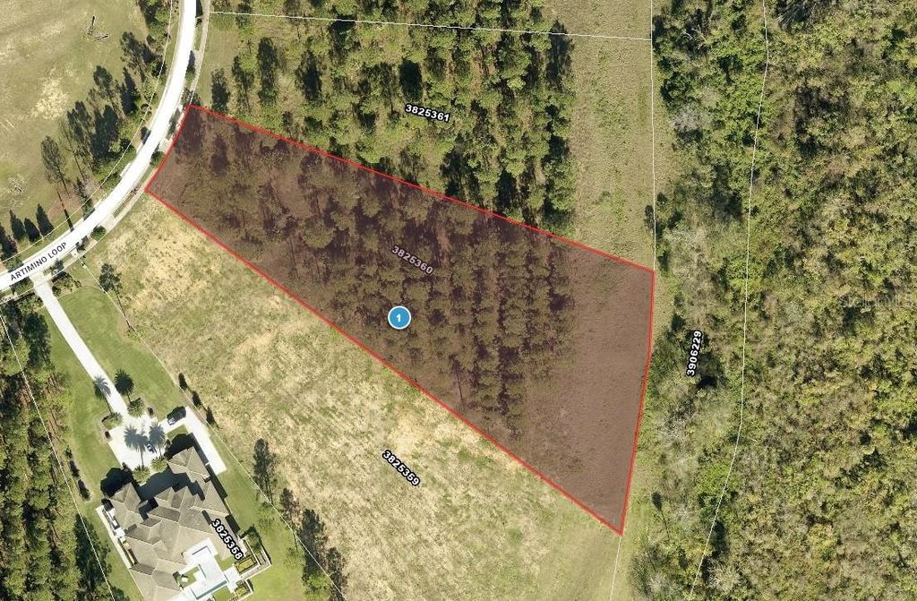 Photo of 16842 Artimino Loop, Bella Collina, FL 34756 (MLS # G5103460)