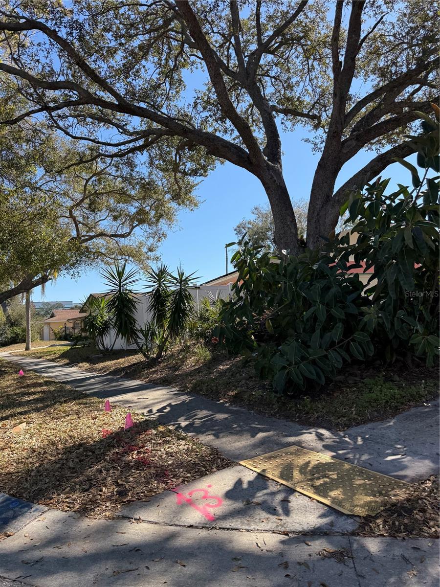 WILSHIRE ESTATES II - Residential