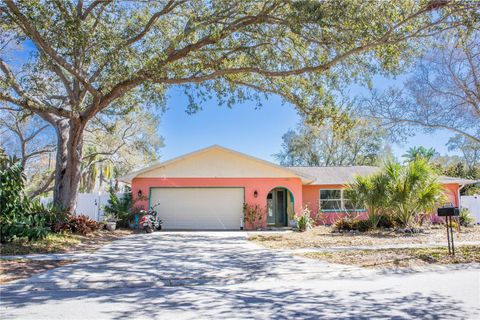 2913 FAIRFIELD COURT DUNEDIN FL 34698