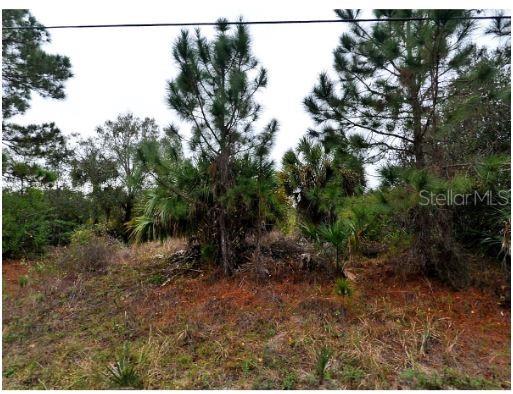 PORT CHARLOTTE SUB 22 - Land