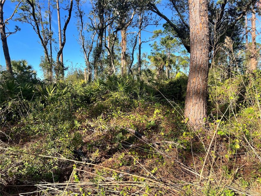 This Wooded Lot is located in a quiet area of North Port with a few homes nearby. Electricity is right at the pole in front of the lot. The lot is just 3 miles to I-75 which makes commuting easy. It is also within 10 min of the North Port Aquatic Center and Warm Mineral Springs along with restaurants and shopping. This Property has 80' of road frontage and is 125" deep. If you want a bigger lot there are a few next to it available for sale as well. There are some newer homes located around this property as well so you will have some neighbors. This lot will require well and septic.  If your looking for privacy with a few neighbors this is the street to build on. Take a drive by and get your offer in today!
