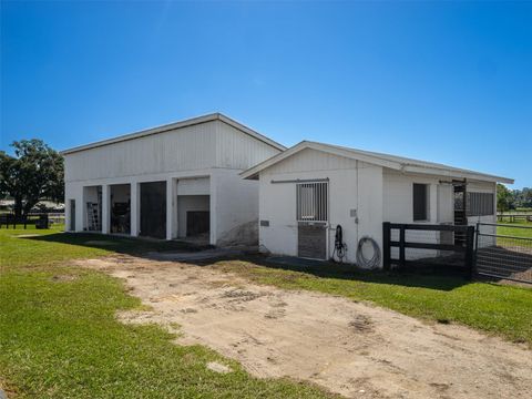 Tiny photo for 15939 NW 162nd Terrace, Williston, FL 32696 (MLS # OM710378)