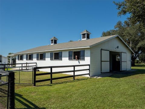 Tiny photo for 15939 NW 162nd Terrace, Williston, FL 32696 (MLS # OM710378)