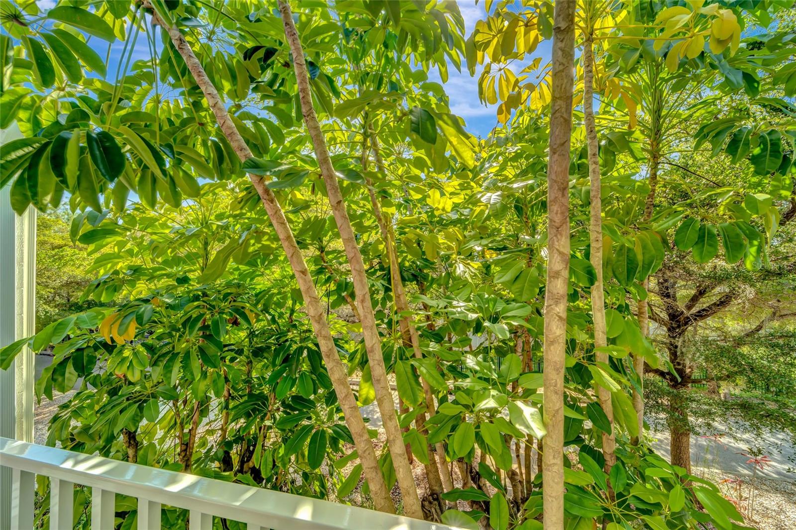 WESTCHESTER I - Residential