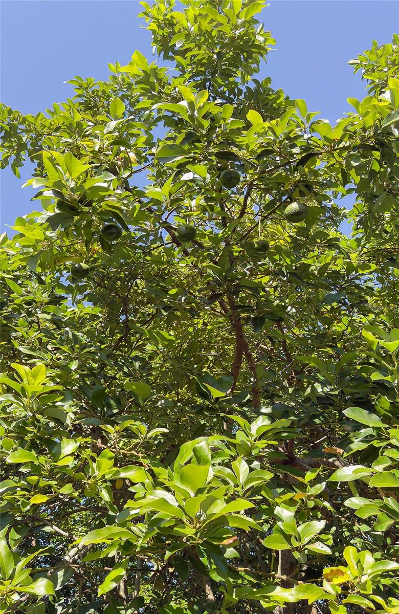 LEISURE ACRES - Residential