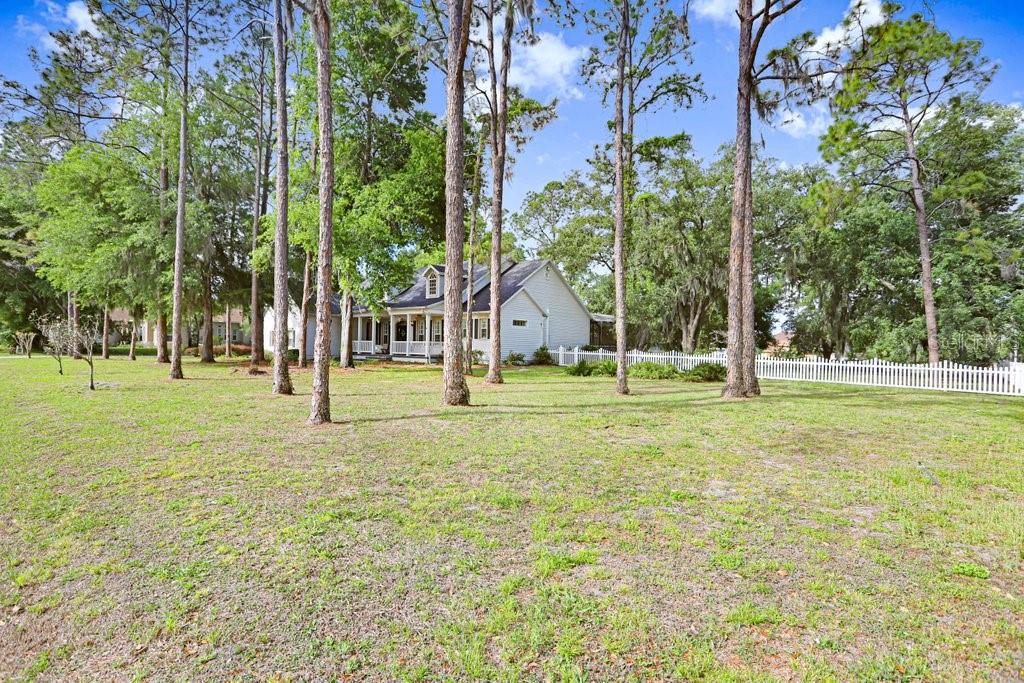 SHADY STABLES - Residential