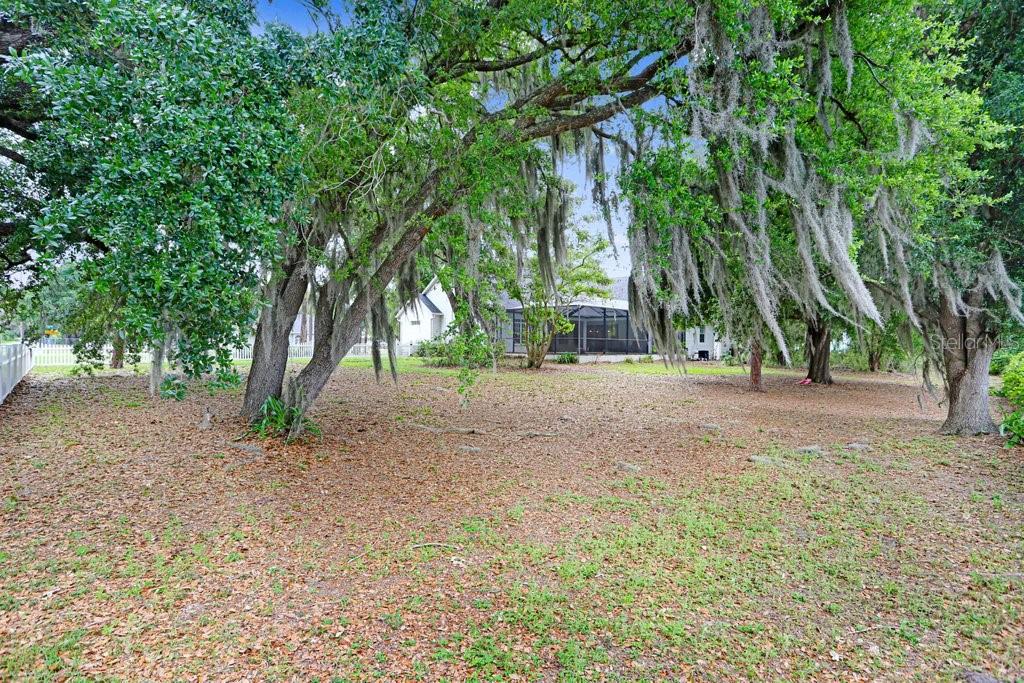 SHADY STABLES - Residential