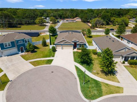 A home in EUSTIS