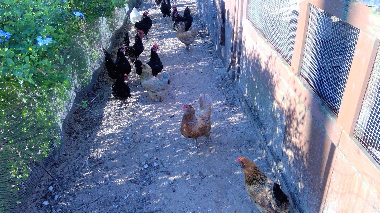 Wilsons - Residential