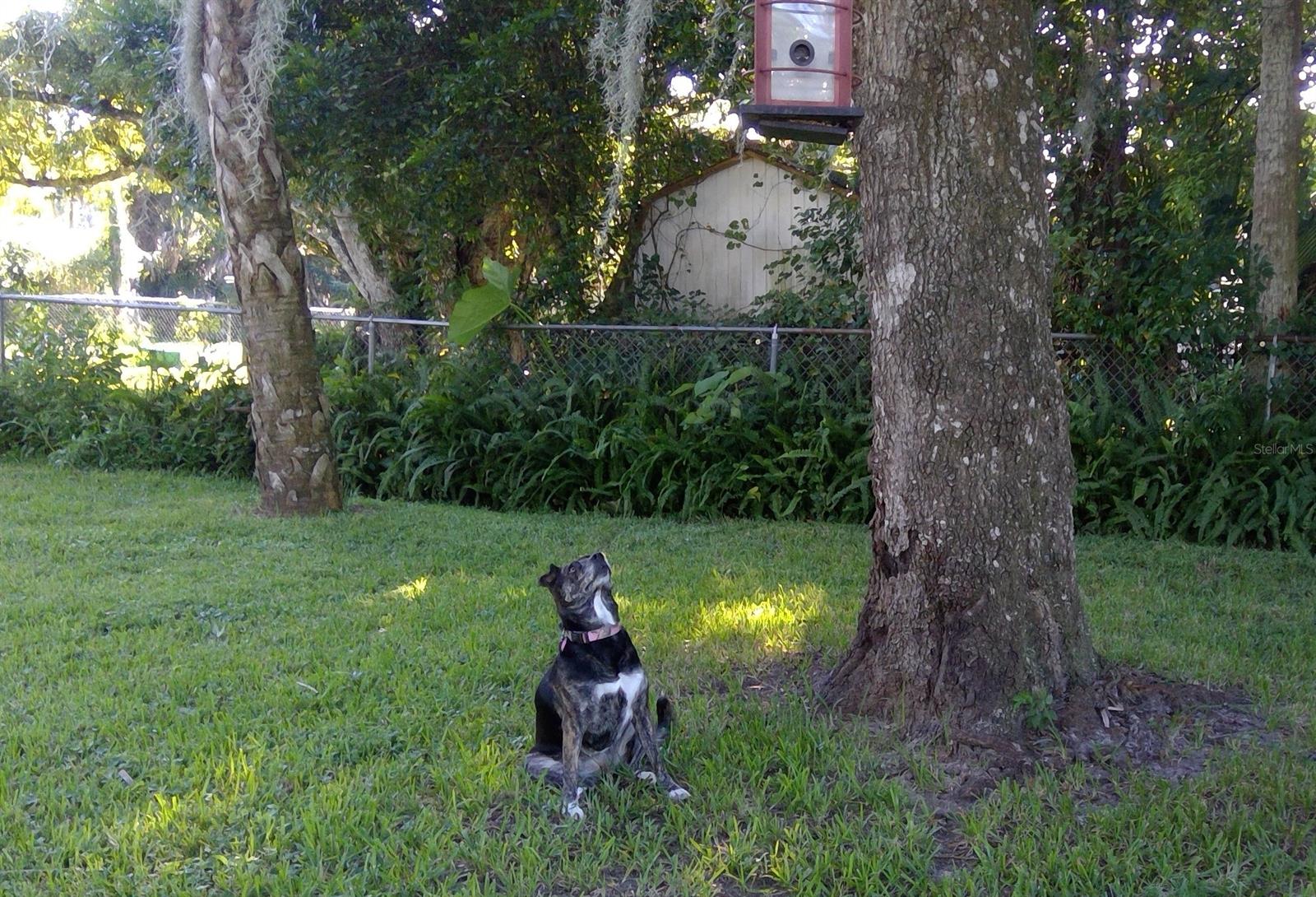 Wilsons - Residential