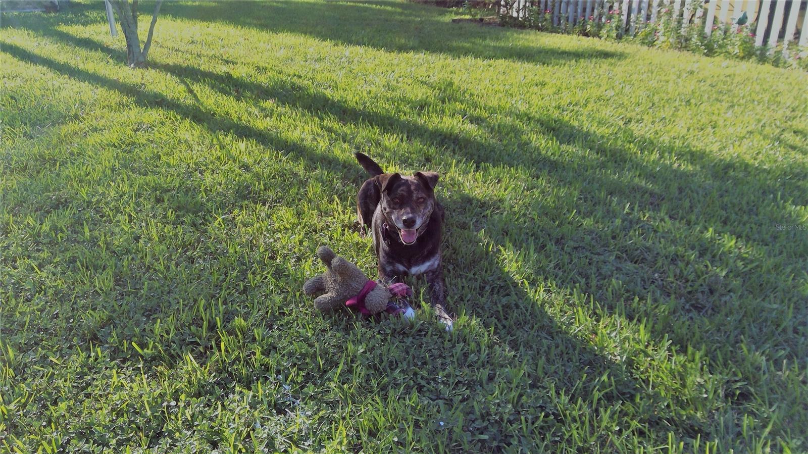 Wilsons - Residential