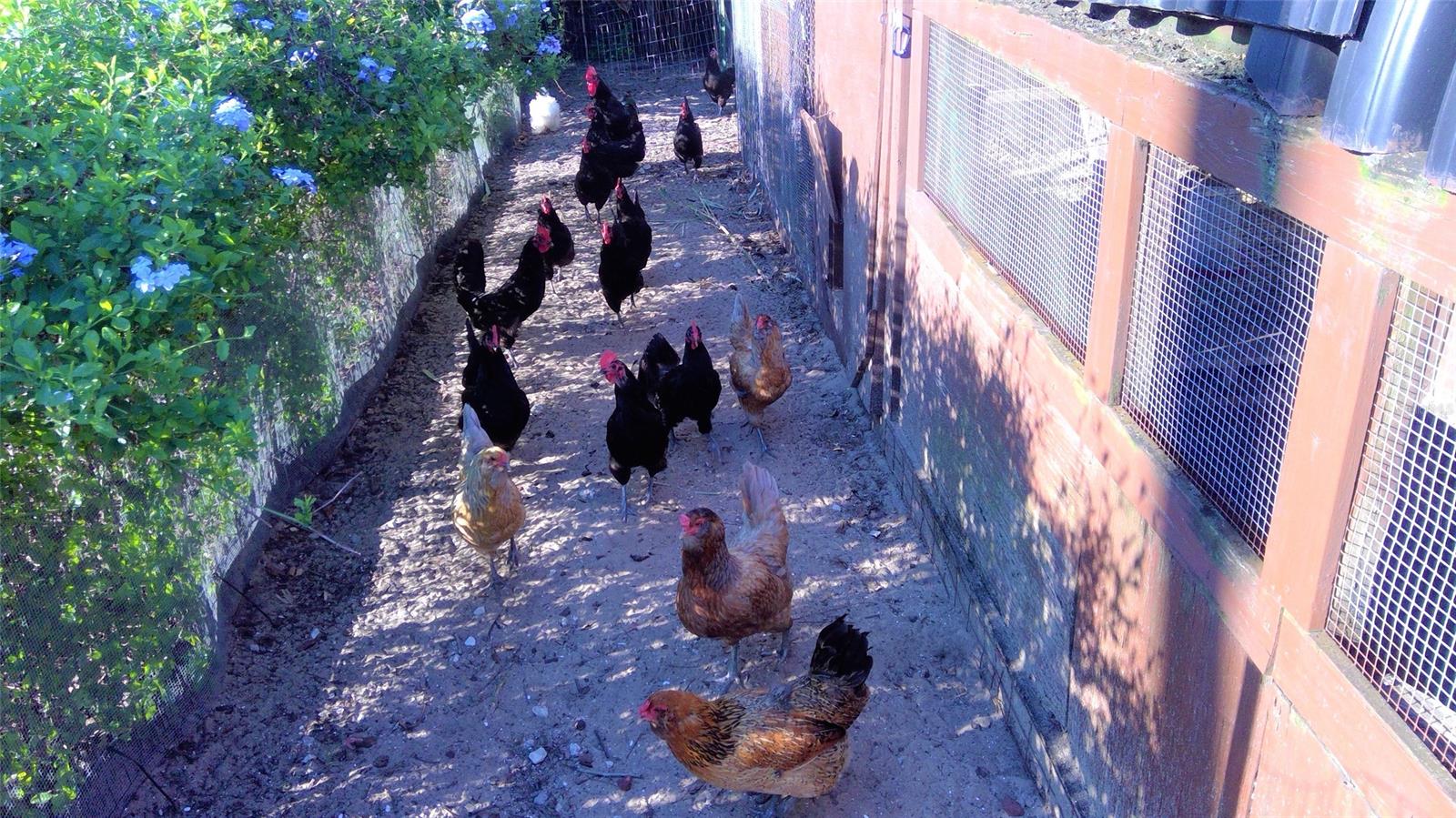 Wilsons - Residential