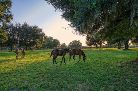 Tiny photo for 7780 N Whippoorwill Ter, Hernando, FL 34442 (MLS # T3491737)