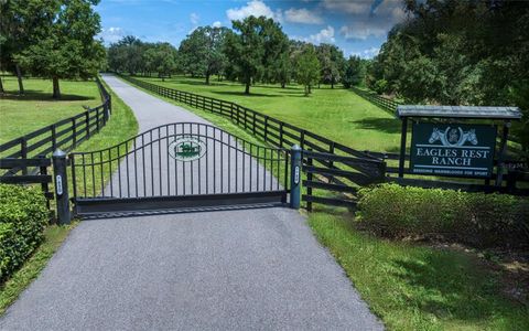 Tiny photo for 7780 N Whippoorwill Ter, Hernando, FL 34442 (MLS # T3491737)