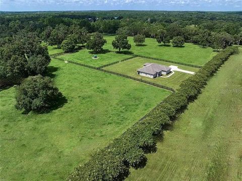 Tiny photo for 7780 N Whippoorwill Ter, Hernando, FL 34442 (MLS # T3491737)