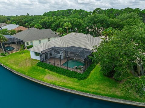 A home in PALM COAST