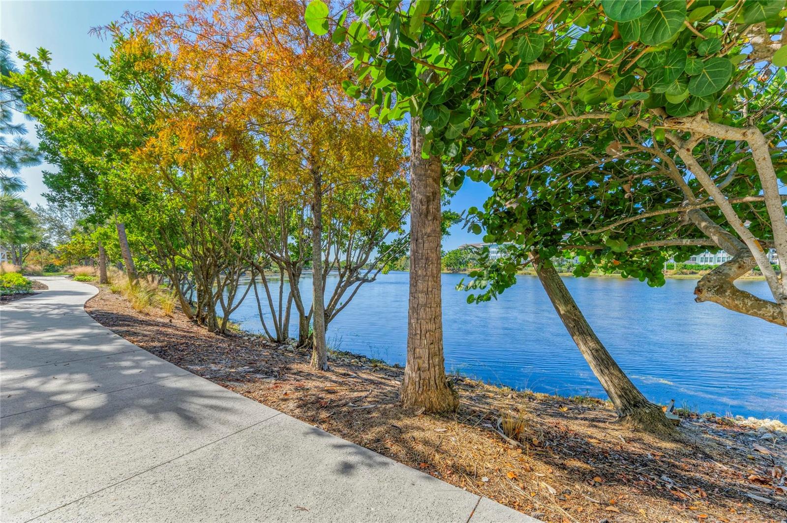MANGROVE WALK ON HARBOUR ISLE PH 5 A PH - Residential
